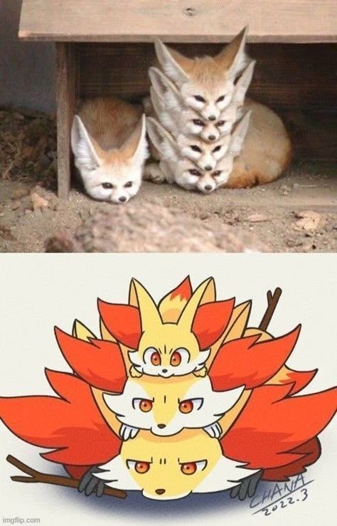 pokemonsplanet's tweet photo. https://t.co/dfg9Q0oP5D