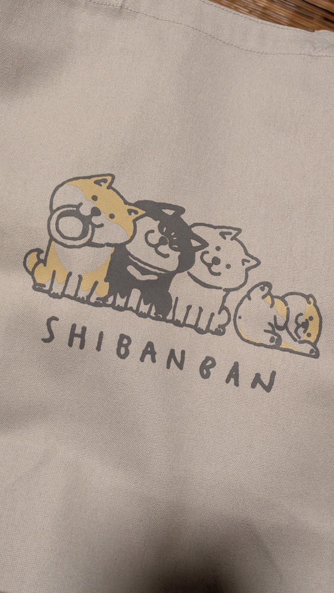 oz_mrmy's tweet photo. しばんばん🫶 https://t.co/KA1MJiJjOZ