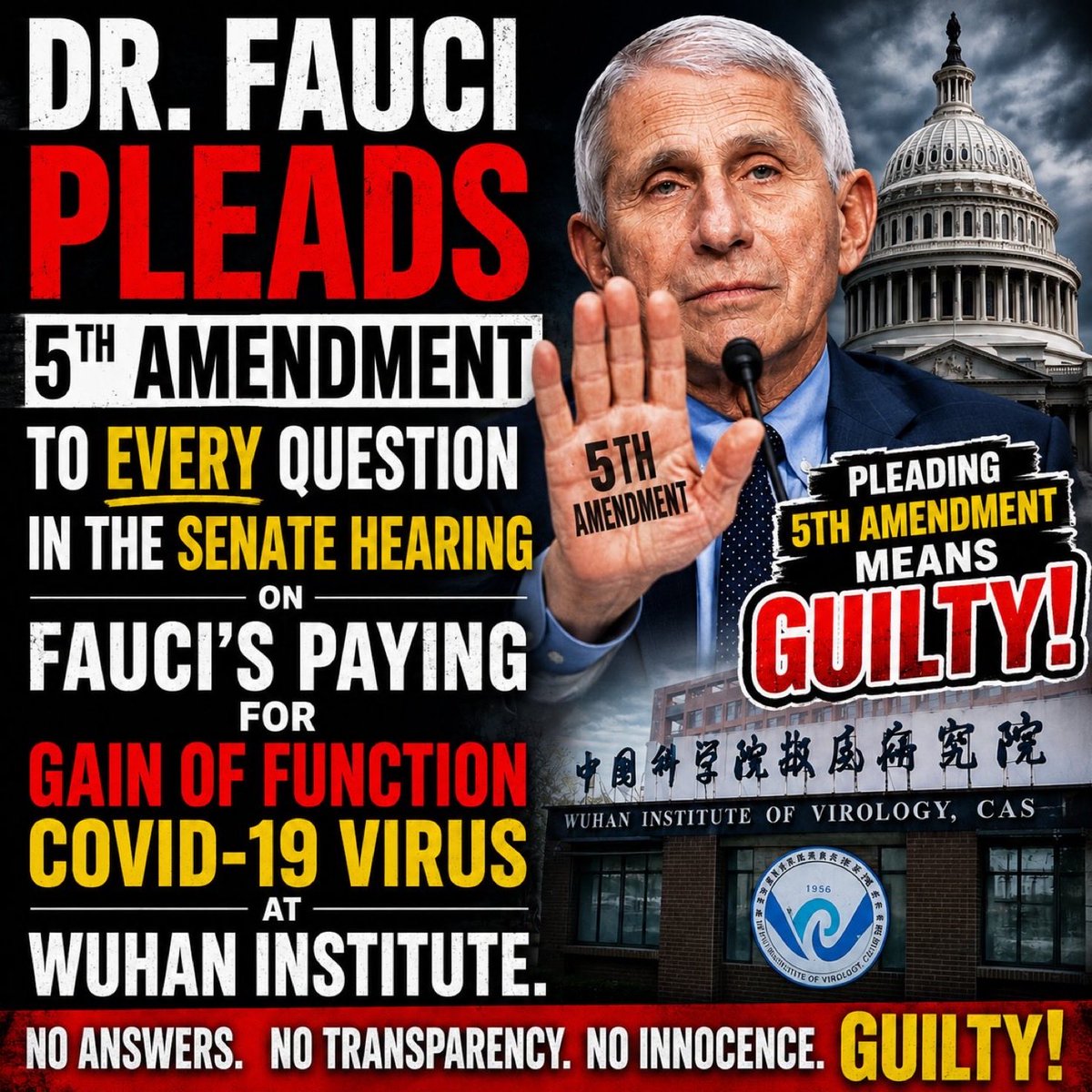 Day1Barbara's tweet photo. @SenatorDurbin FAUCI’S Diary tells the real story very well. FAUCI LIED repeatedly &amp; needs to PLEA THE 5th! FAUCI did much harm to all Americans &amp; people around the world! https://t.co/jyoPWkyyb3