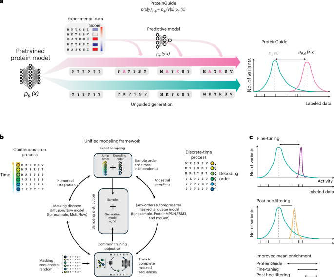 NatureBiotech's tweet photo. Property guidance for protein sequence generative models with ProteinGuide https://t.co/xCysnYtD3a https://t.co/jYZY46uCeI