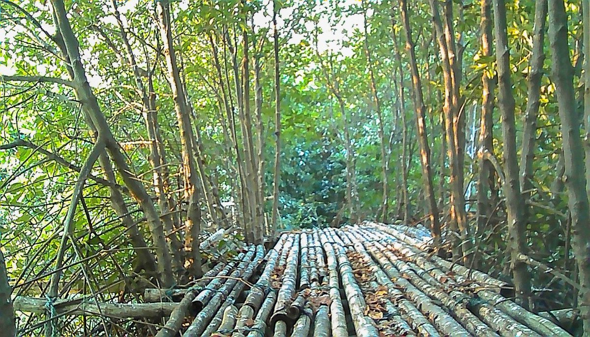 V2VPartnership's tweet photo. 📸 Take a look at these photos taken at Purworejo Village, Demak Regency, Indonesia and learn the story of a livelihood that once prospered but gradually disappeared as environmental conditions changed

Read more👉https://t.co/scmehfh8Ih https://t.co/M4IuuPxs70