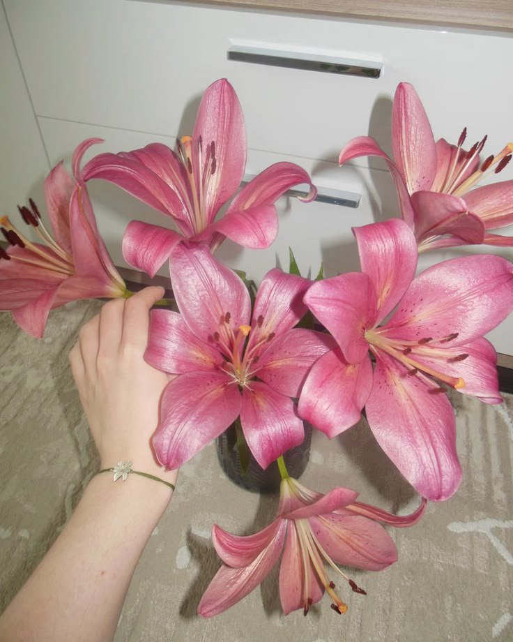 Liliestulipssss's tweet photo. https://t.co/cNAPAmupya
