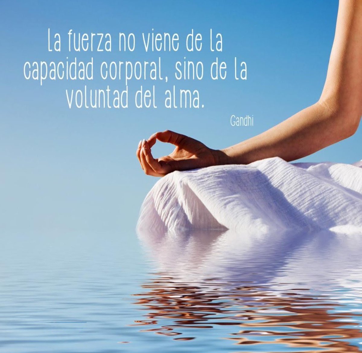 13Patren tweet picture