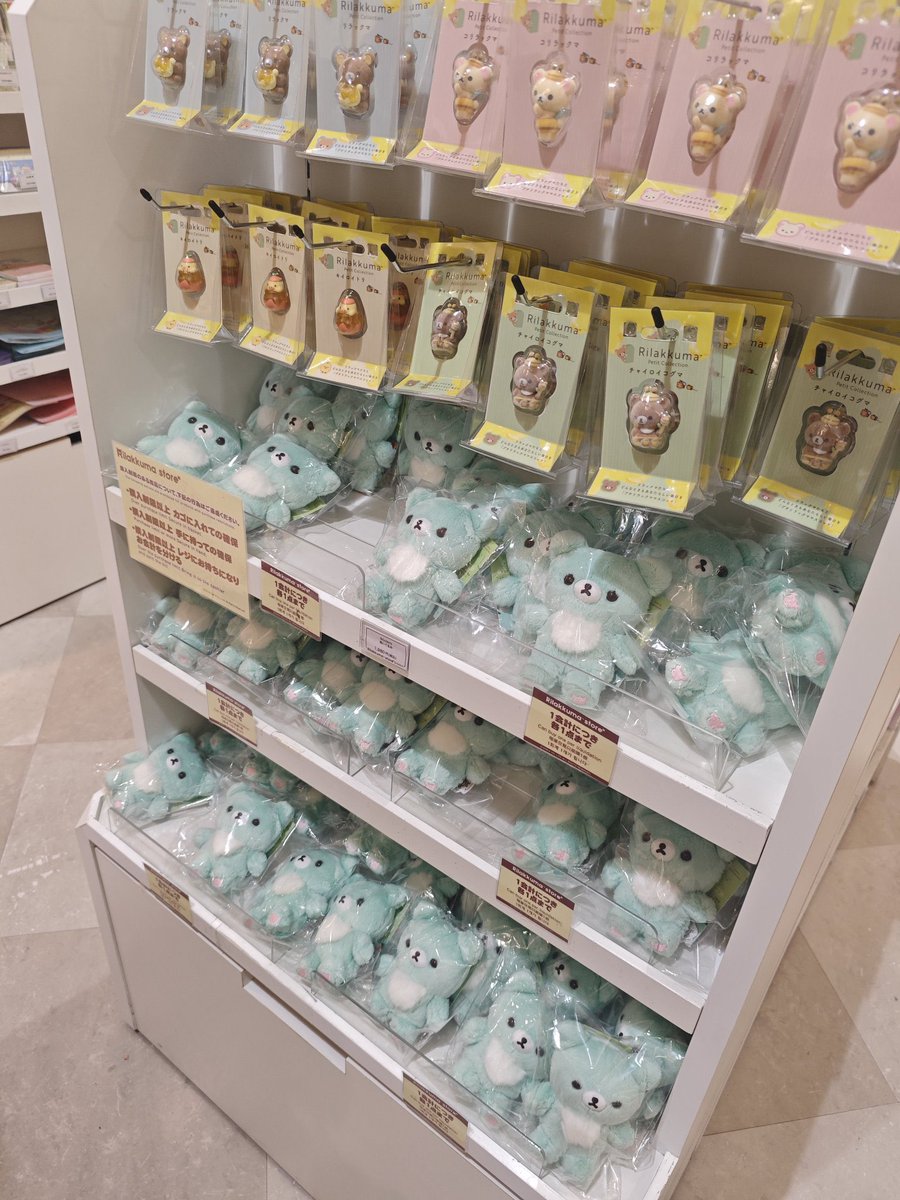 bbublequm's tweet photo. น้องริลัคคุมะ มิ้น 🧼😭😭 https://t.co/JI9RxWxRla