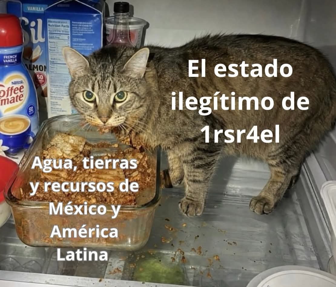 Alfonso Caballeros tweet media