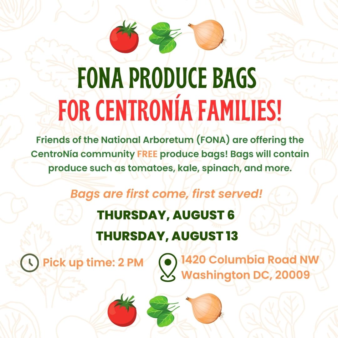 CentroNia's tweet photo. CentroNía families 📢 We have just 2 more dates for FONA produce bags! Don't forget to stop by our Columbia Road center to get a free produce bag filled with veggies and more.

Bags are first come, first served!

#centronia #FONA #freshproduce #foodandwellness #familyservices https://t.co/SjjSY7zzNz