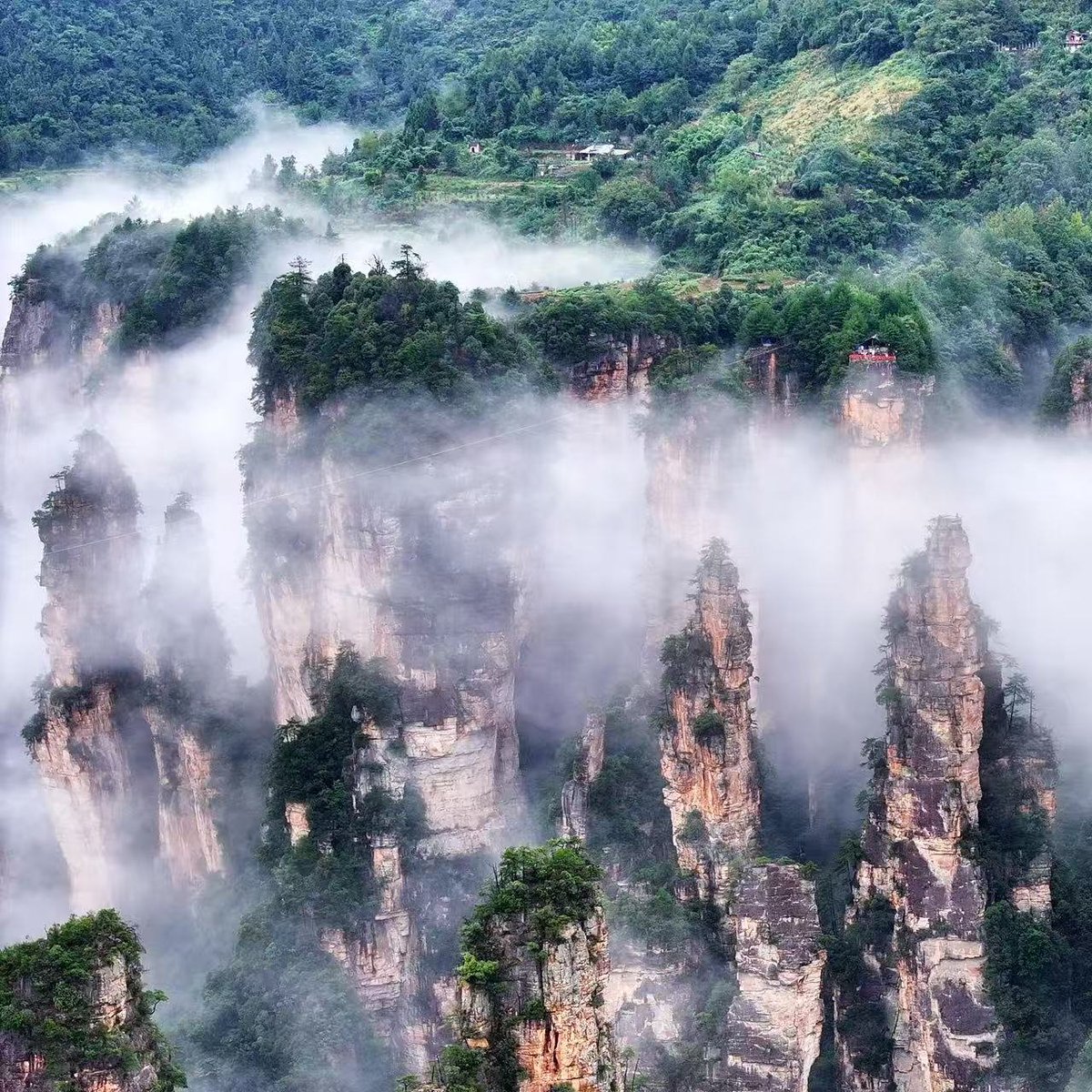 AMAZlNGNATURE's tweet photo. It's hard to believe this place actually exists on Earth

Zhangjiajie National Forest Park in China is famous for its towering sandstone pillars, a landscape so unique that it inspired the floating mountains in the film Avatar https://t.co/uoxsrcwHyj