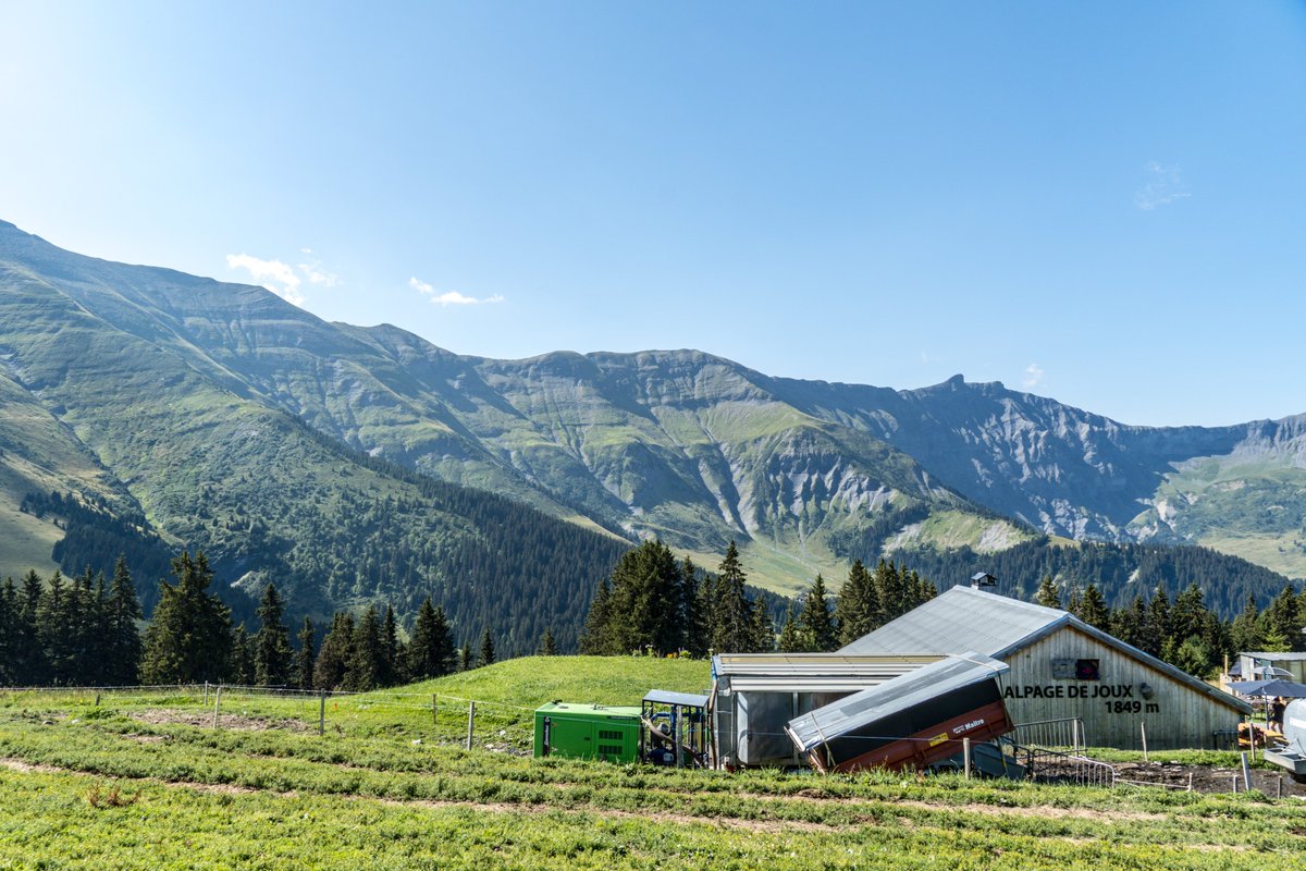 Saint_Gervais's tweet photo. Direction le Mont Joux au départ du Mont d'Arbois pour une randonnée à faire en famille à la fraîche, au milieu des alpages et des vaches ! 🐄

👉🏻 2.7km de randonnée et 166 de dénivelé positif. https://t.co/C9WlQU64lj