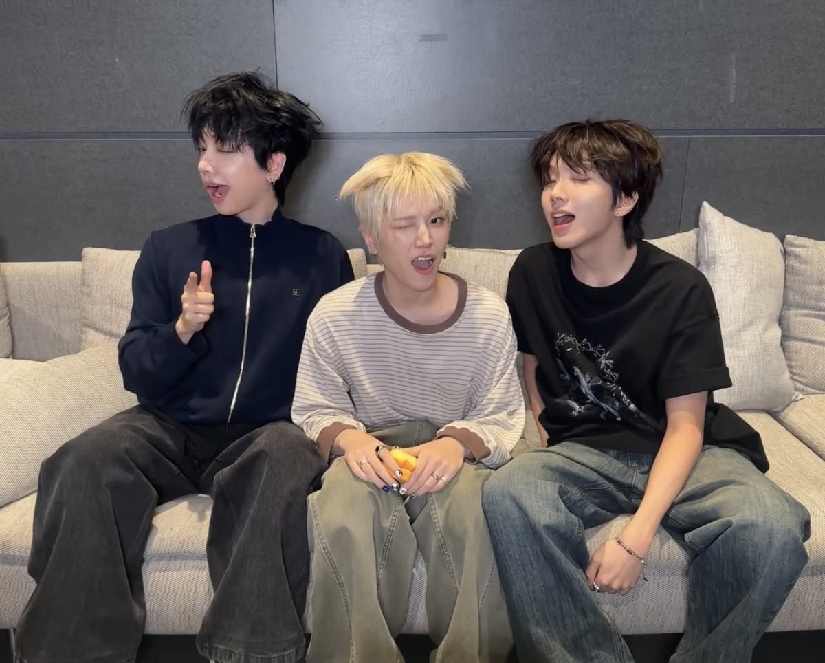 댕댕이 tweet media