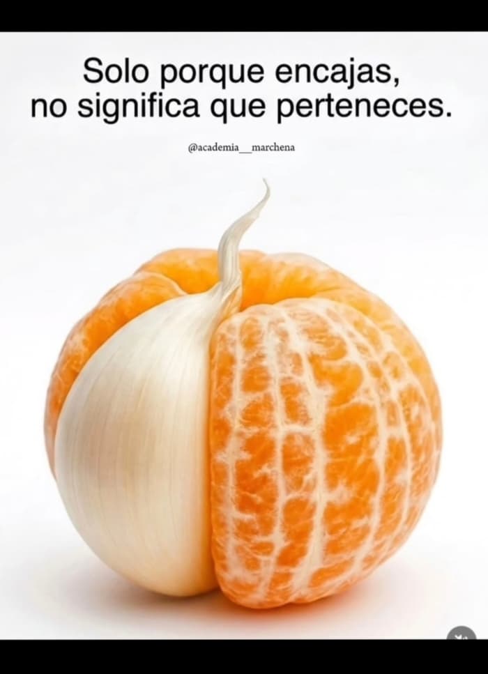 hernanrestrepoc's tweet photo. @ElizbethCristi7 🤣🤣🤣🤣 https://t.co/i1CSbPV95k