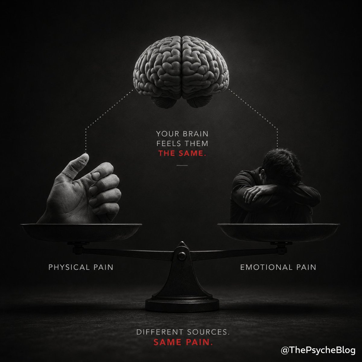 ThePsycheBlog tweet picture