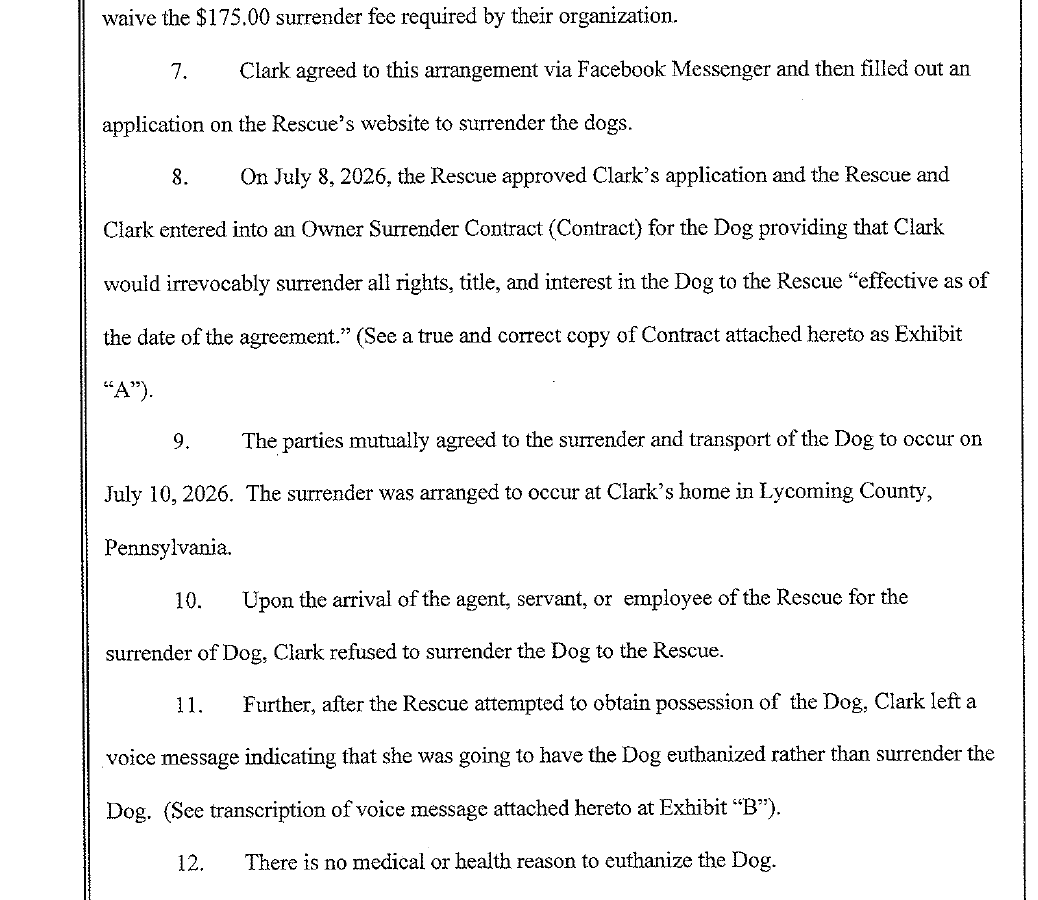 StappLawLLC's tweet photo. Stapp Law filed a complaint along with a writ of seizure yesterday to help Gone Rogue Girls Rescue, Inc. save a 2 year old Rottweiler from possible euthanasia.  See the Rescue's social media presence here - https://t.co/5ebIp7j8On.  We will update you on our emergency efforts to save Saskia.