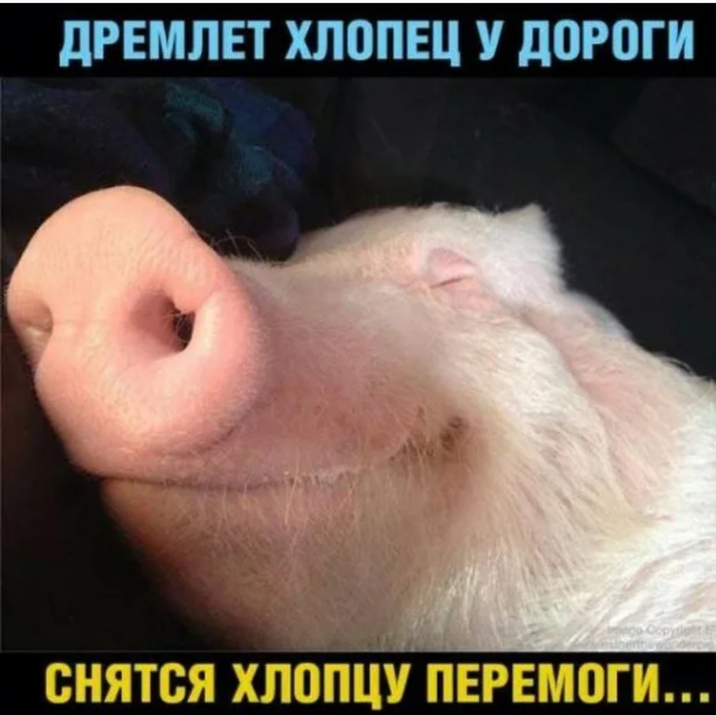 Олег А tweet media