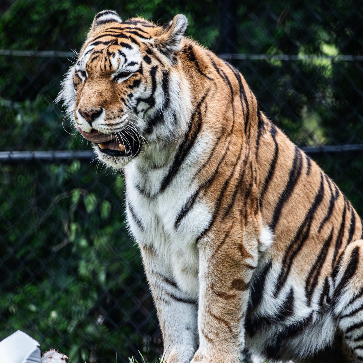 The Toronto Zoo tweet media