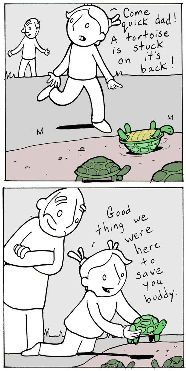 Lunarbaboon's tweet photo. You might want to check with the tortoise first. NEW COMIC on TINYVIEW for subscribers. Please join us over there and support artists! Thanks everyone. https://t.co/u9kyvPxX3S https://t.co/26Oygcahum