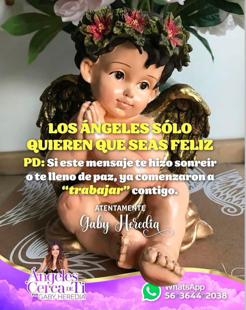 Angelcercadeti's tweet photo. YO SI SONREÍ AL LEER EL MENSAJE Y TU?

Feliz miércoles
Gaby Heredia
Ángeles cerca de ti https://t.co/uKcn86LjkG
