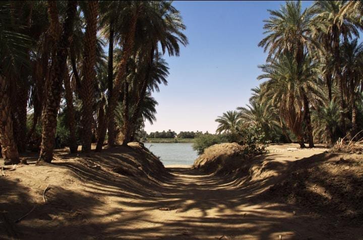 Thanii7816Ttt's tweet photo. في جزيرة صاي تختبئ صفحات من تاريخ النوبة، حيث تمتزج الحضارات على أرض واحدة، ويظل السودان متحفًا مفتوحًا يحكي قصة الإنسان منذ القدم.
#السودان 🇸🇩 #النوبة https://t.co/MLlkIIqzKx