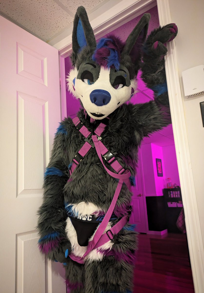 NabiWolfy's tweet photo. heyyyyyy~ (slutty amount of y's) https://t.co/eStcIfIblw