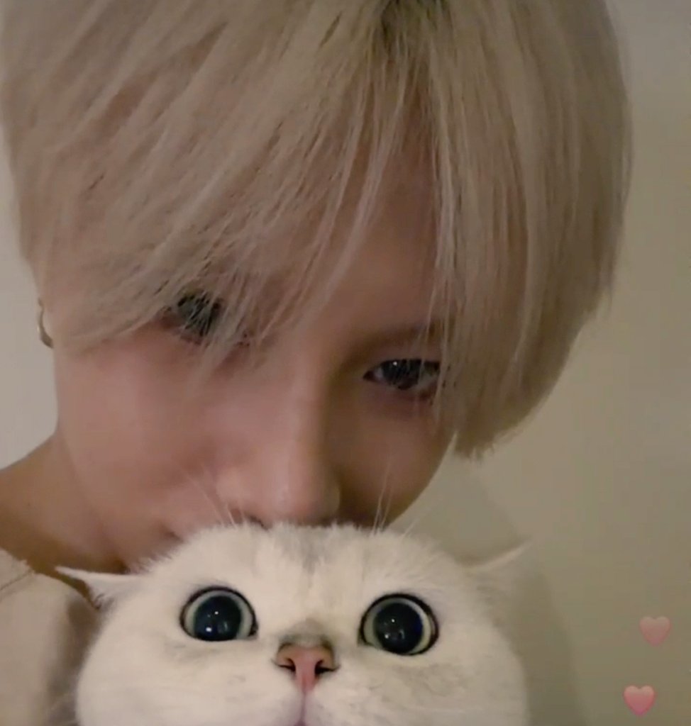 my__cheese's tweet photo. 너 방금 백억포카를 생성했어 https://t.co/hGJqDaw6aH