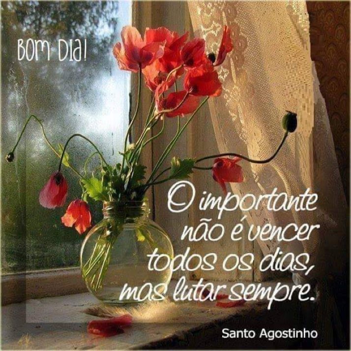 LeilaLicio's tweet photo. @HeitorSilv99629 Bom dia,amigo.Que seja leve e abençoado.Paz e bem.🙏🏼🤗🍂 https://t.co/j5Cb6hb22k