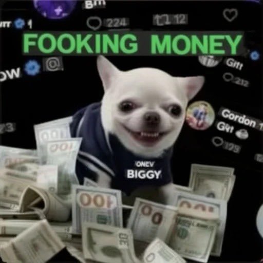 TheKid0091's tweet photo. @MagicDegenSOL $FOOKING

HV4Wup7dPJZL4LNwu3aVmMv6T2X1rzB2AnVWbwRmn7o9 https://t.co/T9GLj3Ohbk