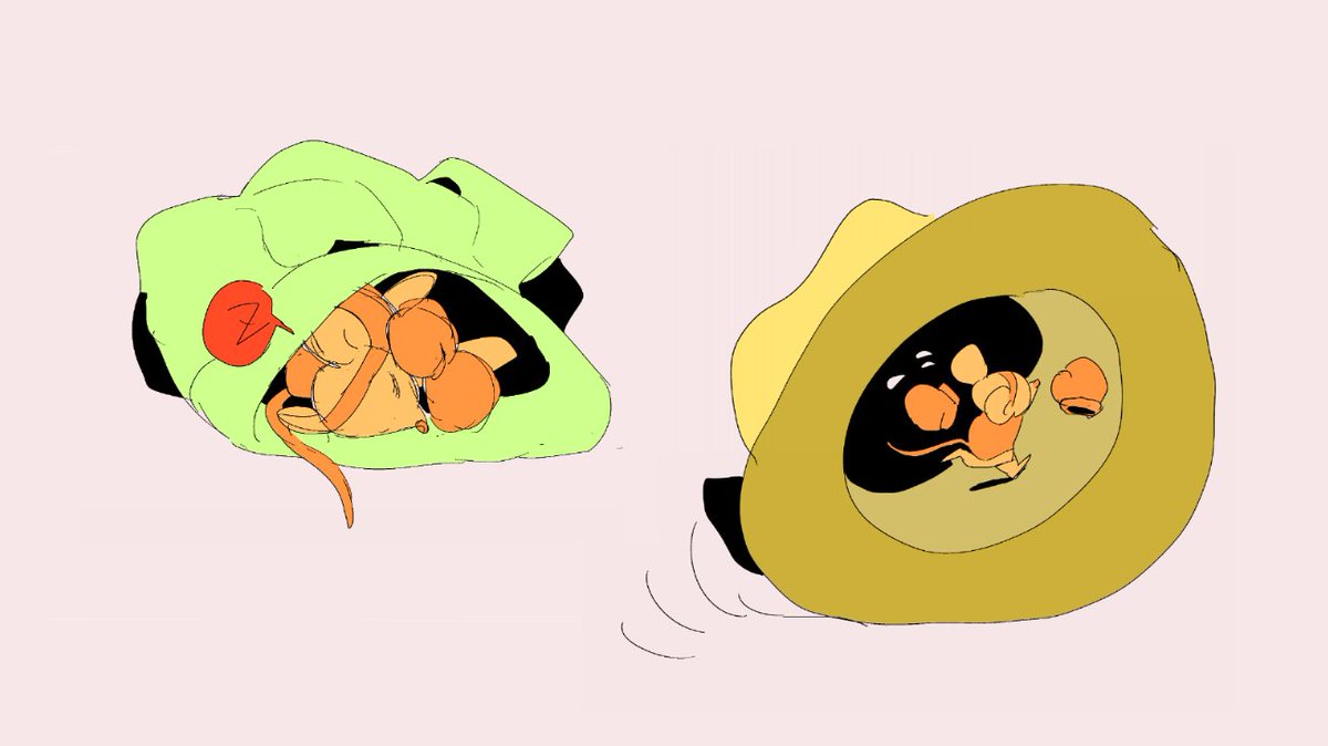 greennnoodles's tweet photo. ja orange https://t.co/Bb6MI45vjM
