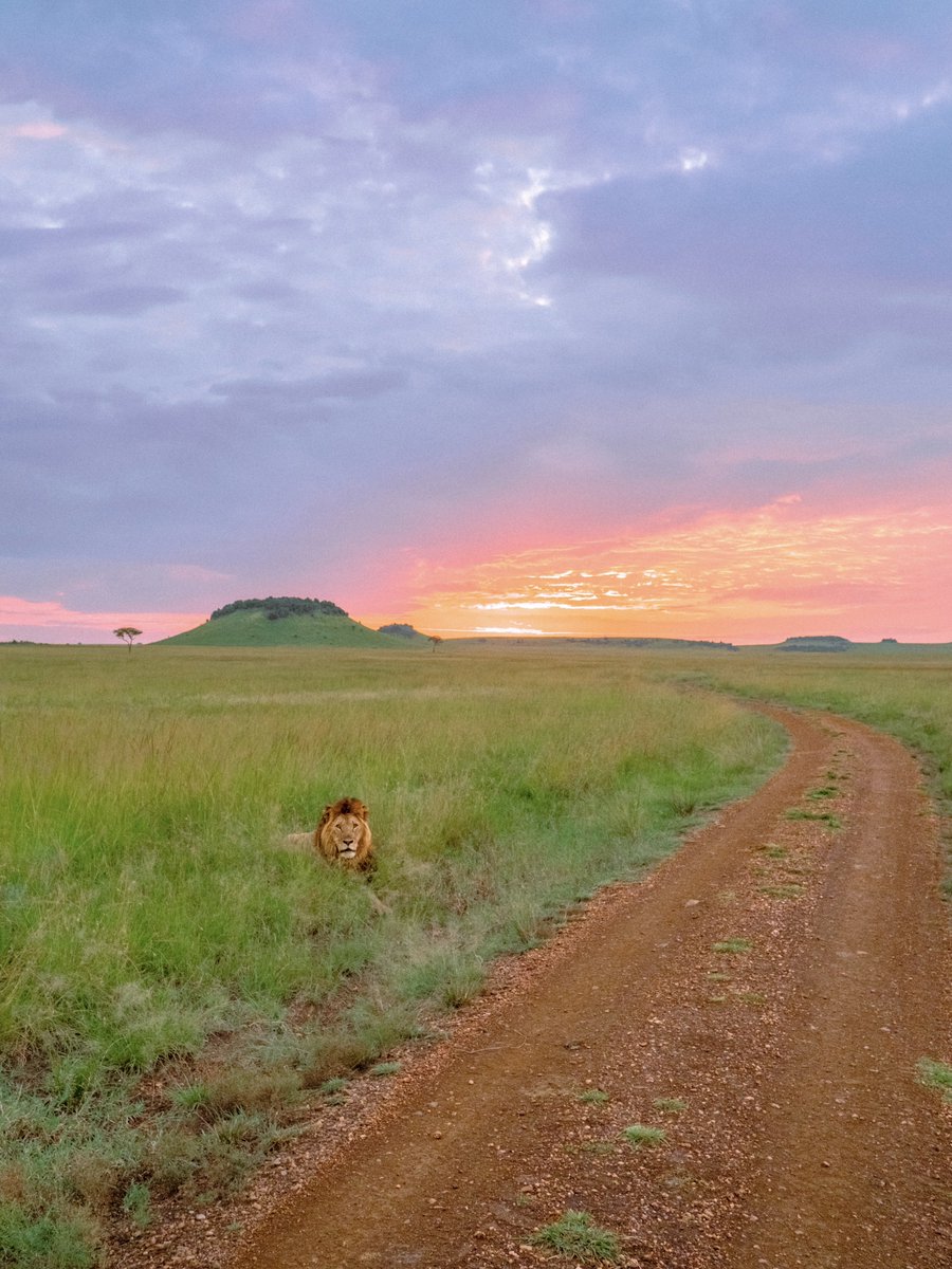 AlexKittoe's tweet photo. Memories from Kenya https://t.co/p3TqIyEk7h