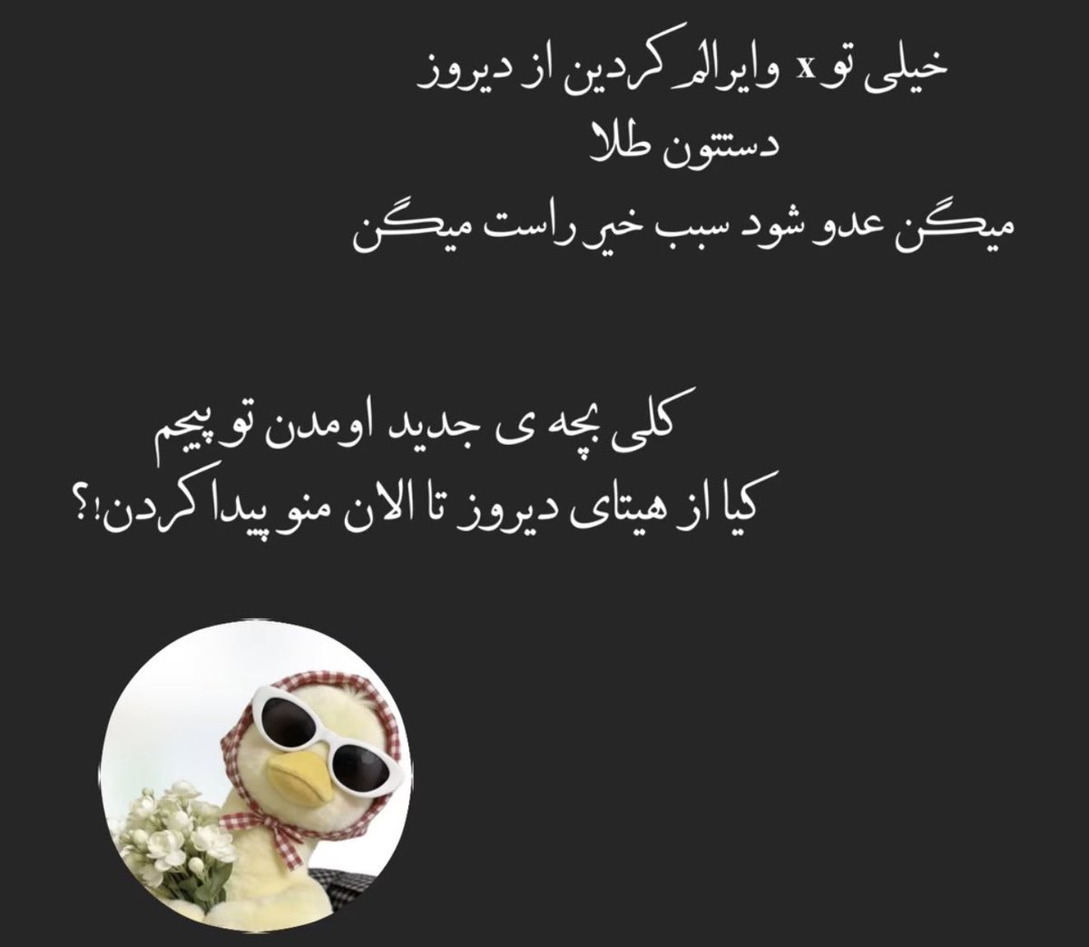 مریدا tweet media