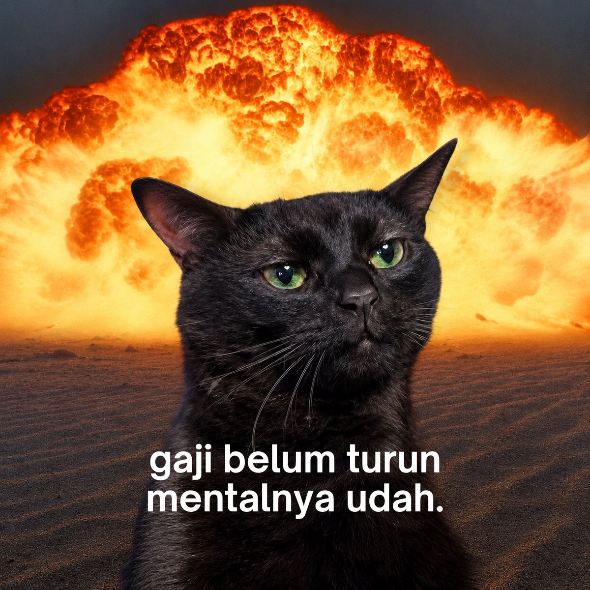 Warga Paling Capek tweet media