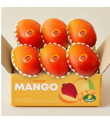 applemangocrape's tweet photo. [RT❤️]안녕하세요>>[퇴사 후 남주들의 집착은 사절이에요]<<< 제가 정말정말 좋아하는 친구의 웹툰이 런칭해서 홍보합니다. 제목부터 너무 재밌어보이지 않나요..? 리트윗해주신분 추첨하여 작화만큼이나 달콤달콤한>새콤달콤 고당도 애플망고 2.1kg<를 드립니다 감사합니다!!https://t.co/iEDQxy2DJL https://t.co/TNDQtq5irz