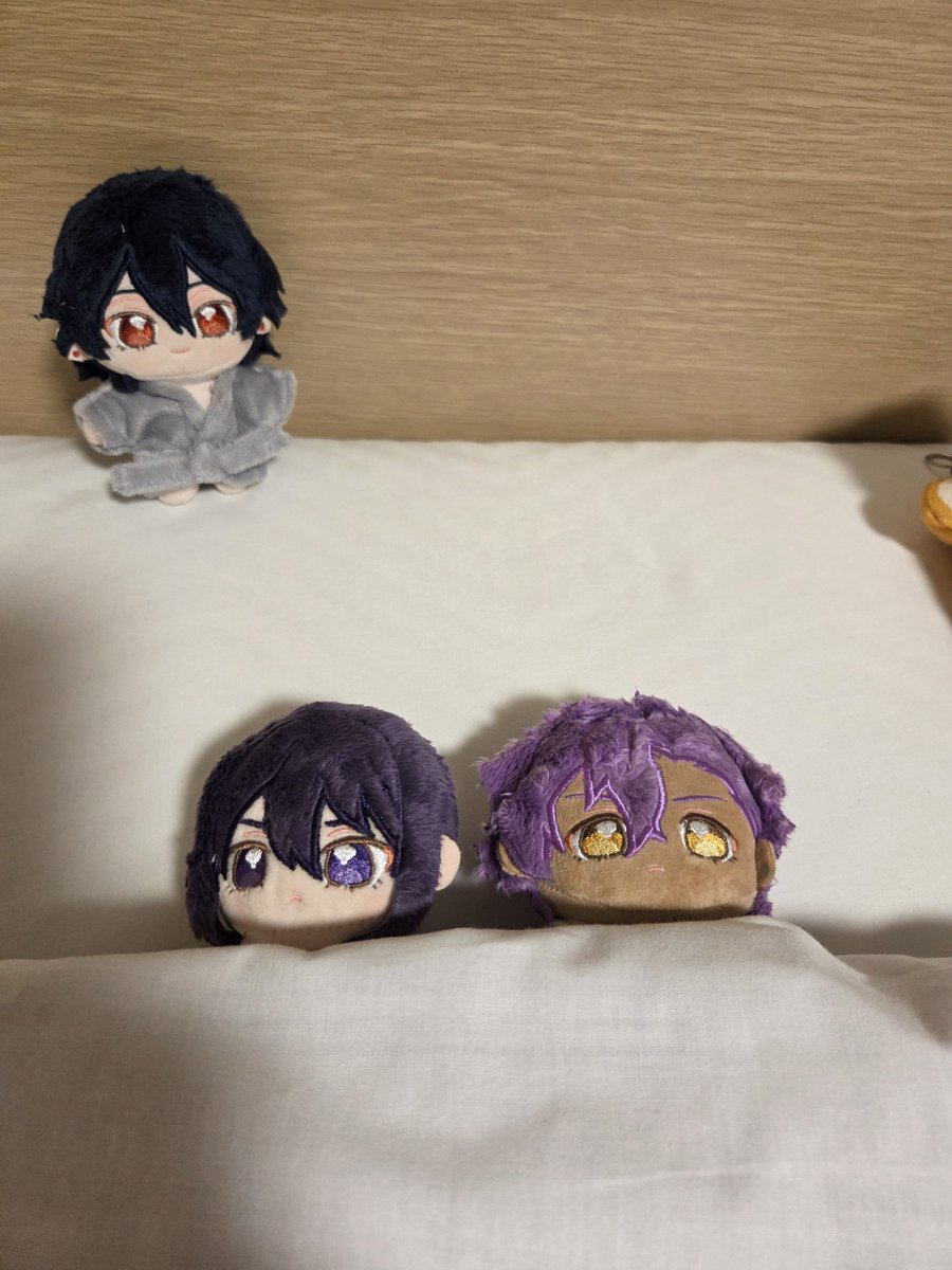 candy_EarlGrey's tweet photo. めちゃくちゃ寝相が良さそうな颯馬とアドニス。
零『仲良しじゃのぅ……☺』 https://t.co/s12uGXXalV