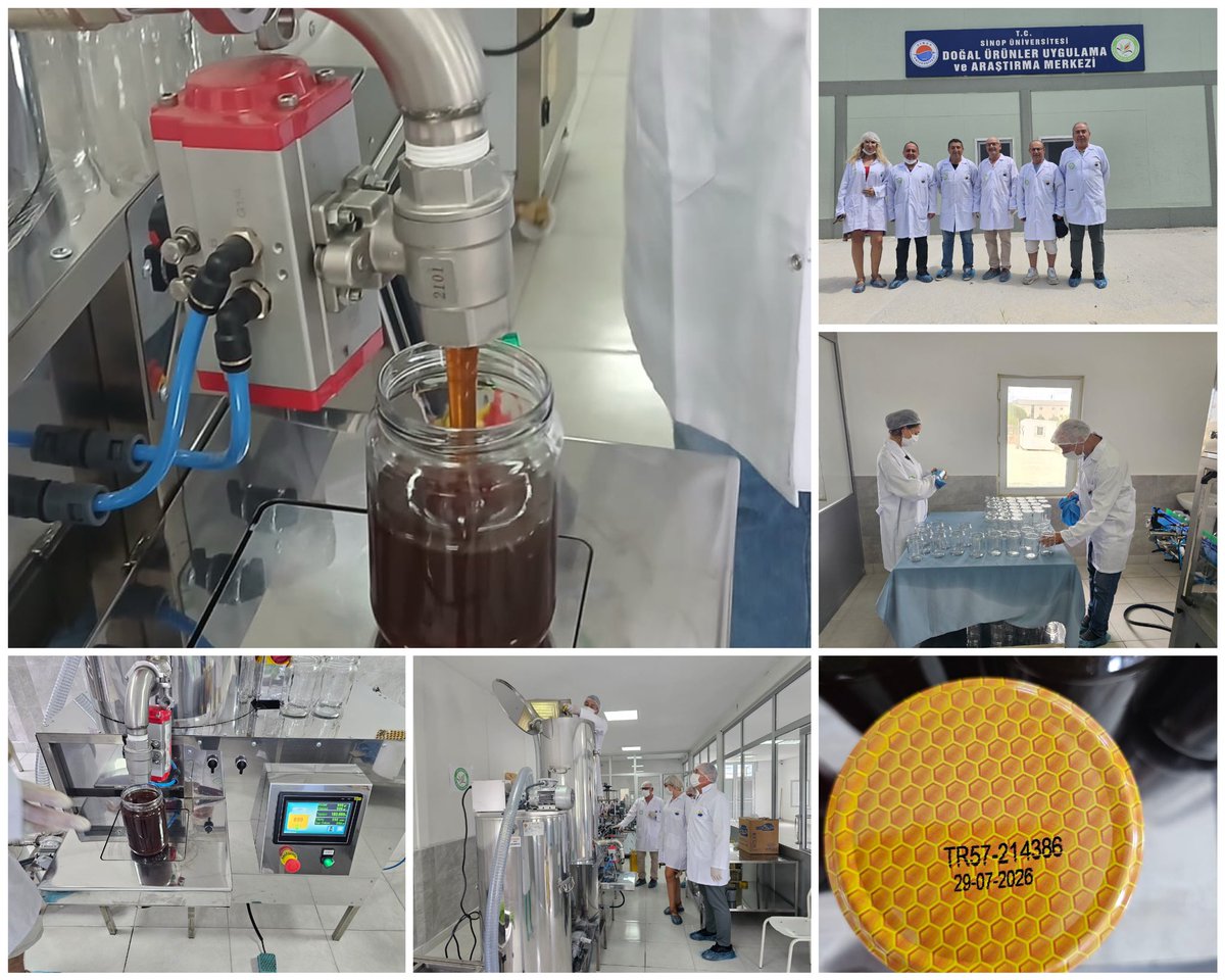 sinopuniversity's tweet photo. 🔷Sinop Üniversitesi Doğal Ürünler Uygulama ve Araştırma Merkezi bünyesinde kurulan Bal Dolum Tesisi, faaliyetlerine başladı. Tesiste gerçekleştirilen ilk dolum işlemi, Ayancık ilçesi üreticilerinden Şenol Aksoy'a ait kestane balıyla yapıldı.

🔸İlk dolum işlemi, Sinop Arıcılar Birliği Başkanı Metin Oktay Fındık ile Doğal Ürünler Uygulama ve Araştırma Merkezi Müdürü Dr. Öğr. Üyesi Recep Aykan'ın gözetiminde gerçekleştirildi.

🔸Dolumu yapılan balların kalite ve uygunluk analizleri, Sinop Üniversitesi Bilimsel ve Teknolojik Araştırmalar Uygulama ve Araştırma Merkezi (SÜBİTAM) laboratuvarlarında titizlikle gerçekleştiriliyor.

🔸Faaliyete başlayan Bal Dolum Tesisi ile Sinop balının kalite güvencesinin artırılması, üreticilerin güvenilir ve standartlara uygun dolum hizmetine erişiminin sağlanması ve bölge arıcılığının gelişimine katkı sunulması hedefleniyor.

#SinopÜniversitesi
#subitam_sinop
#SinopArıcılarBirliği
#Turkiye_aricilar_birligi
@sinopobm 
@tarim_sinop 
@metinoktay2011 
#SinopÜniversitesiDoğalÜrünler