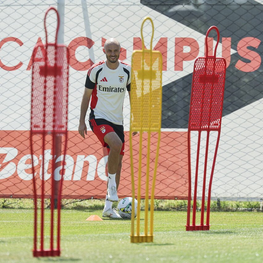 Information Glorious - SL Benfica tweet media