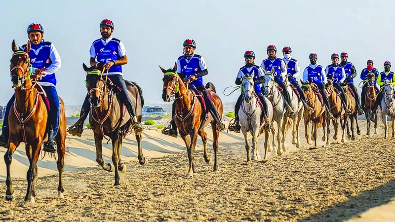 A_S_Almenhali10's tweet photo. أبوظبي 🇦🇪 تفوز باستضافة كأس العالم للقدرة 2026 👏 في قرية بوذيب العالمية للقدرة .

وأكد سمو الشيخ منصور بن زايد آل نهيان أن هذا الإنجاز يجسد الثقة الدولية التي تحظى بها دولة الإمارات، ويعكس جاهزية أبوظبي لتنظيم أكبر المحافل الرياضية العالمية، بما تمتلكه من بنية تحتية متطورة، وخبرات تنظيمية رائدة، ومنظومة متكاملة لاستضافة نخبة فرسان العالم.

كما أعرب سموه عن ثقته بقدرة فرسان وفارسات الإمارات على المنافسة بقوة وتحقيق نتائج مشرفة، بدعم القيادة الرشيدة التي جعلت من رياضة القدرة قصة نجاح إماراتية تتصدر الساحة العالمية.

ويؤكد هذا الفوز ثقة الاتحاد الدولي للفروسية بالإمارات، ويعزز مكانتها مركزاً عالمياً لرياضات الفروسية وتنظيم البطولات الدولية وفق أعلى المعايير .