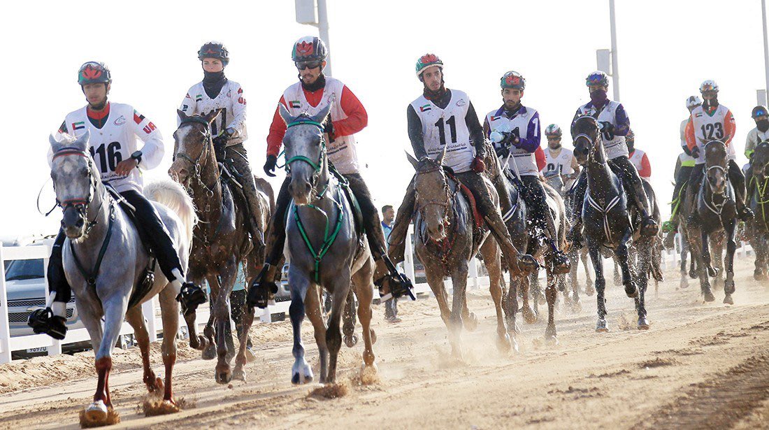A_S_Almenhali10's tweet photo. أبوظبي 🇦🇪 تفوز باستضافة كأس العالم للقدرة 2026 👏 في قرية بوذيب العالمية للقدرة .

وأكد سمو الشيخ منصور بن زايد آل نهيان أن هذا الإنجاز يجسد الثقة الدولية التي تحظى بها دولة الإمارات، ويعكس جاهزية أبوظبي لتنظيم أكبر المحافل الرياضية العالمية، بما تمتلكه من بنية تحتية متطورة، وخبرات تنظيمية رائدة، ومنظومة متكاملة لاستضافة نخبة فرسان العالم.

كما أعرب سموه عن ثقته بقدرة فرسان وفارسات الإمارات على المنافسة بقوة وتحقيق نتائج مشرفة، بدعم القيادة الرشيدة التي جعلت من رياضة القدرة قصة نجاح إماراتية تتصدر الساحة العالمية.

ويؤكد هذا الفوز ثقة الاتحاد الدولي للفروسية بالإمارات، ويعزز مكانتها مركزاً عالمياً لرياضات الفروسية وتنظيم البطولات الدولية وفق أعلى المعايير .