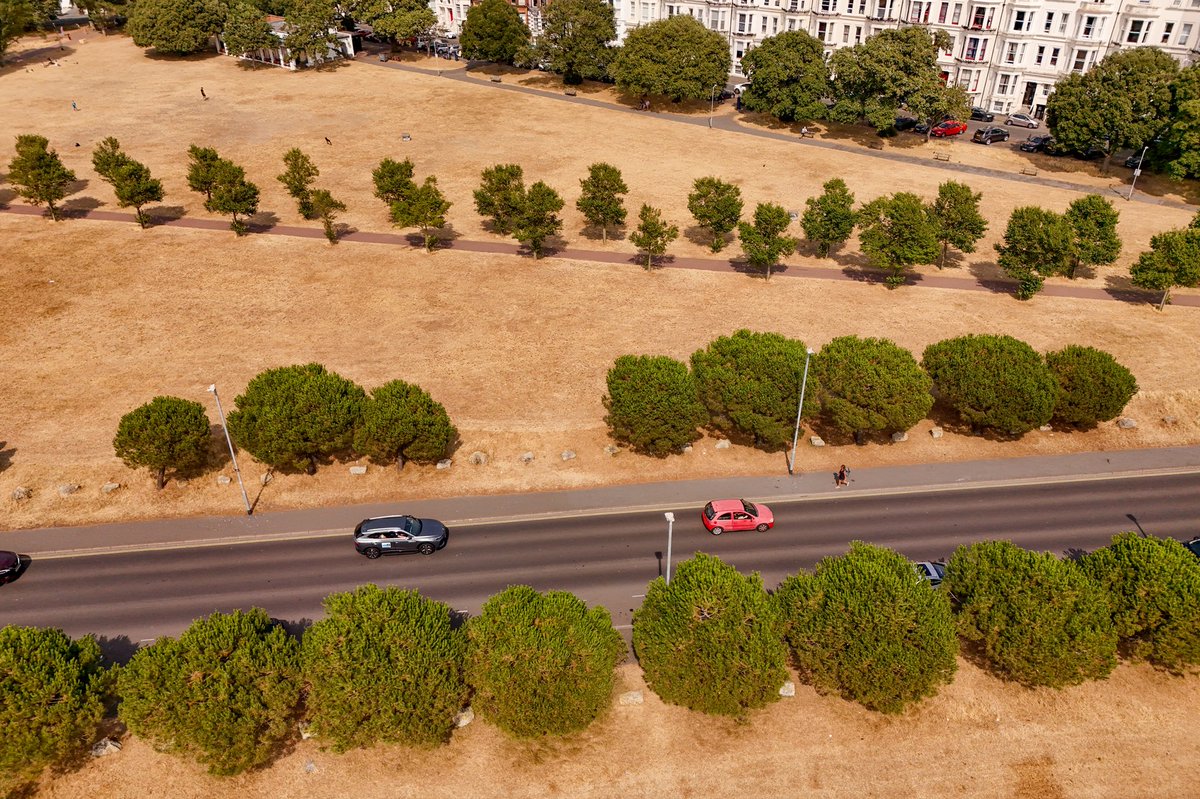 SNAPczapp's tweet photo. As it’s announced by the Environment Agency today that half of England is in drought, the grass on Southsea Common looks more like sand instead of its usual lushes green colour. 

I’m a @snapagency Staff Photographer

#drought #weather #southseacommon #news #hampshire https://t.co/0ESKH1AOna