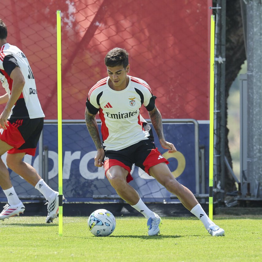 Information Glorious - SL Benfica tweet media