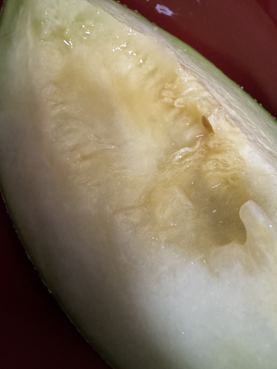 M230123519's tweet photo. 🍈 https://t.co/BH2eCsiMdP