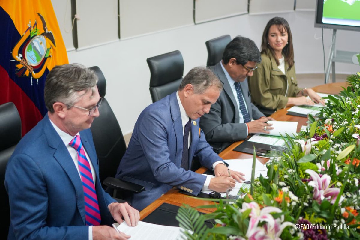 FAOEcuador's tweet photo. Esta política «Nació del diálogo, escuchando a quienes viven en los territorios, producen, investigan, conservan y deciden sobre los bosques» señaló @GherdaB, Representante de la FAO en Ecuador.

Más de 1.000 personas de 10 sectores participaron desde la Costa, Sierra, Amazonía y Galápagos.🌱