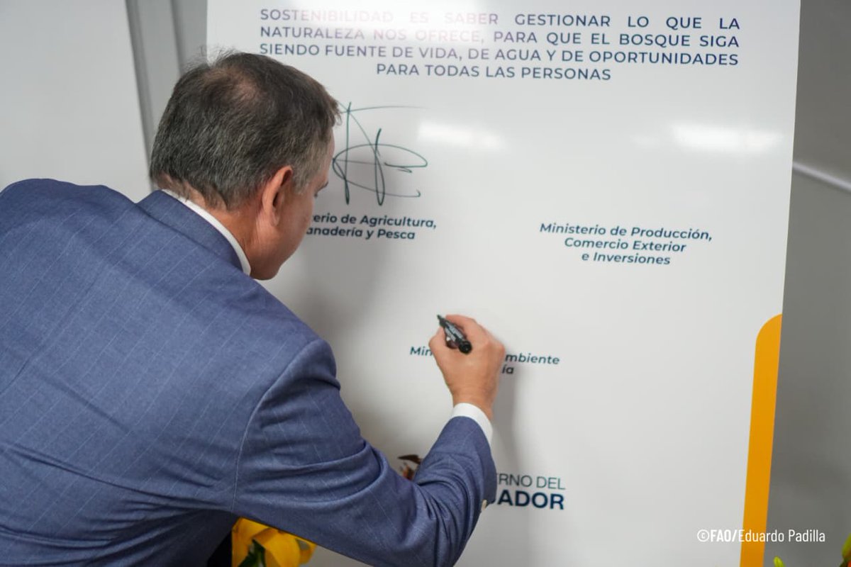 FAOEcuador's tweet photo. Esta política «Nació del diálogo, escuchando a quienes viven en los territorios, producen, investigan, conservan y deciden sobre los bosques» señaló @GherdaB, Representante de la FAO en Ecuador.

Más de 1.000 personas de 10 sectores participaron desde la Costa, Sierra, Amazonía y Galápagos.🌱