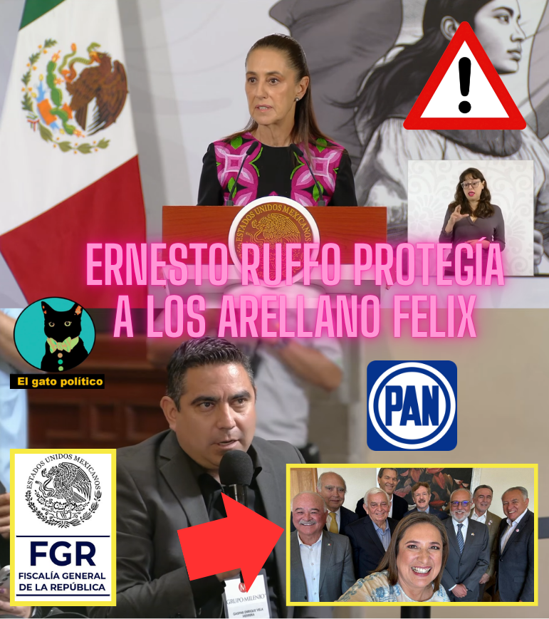elgatopolitico_'s tweet photo. 🔴​🔴¡Salió el peine!
Periodista de Milenio revela que Ernesto Ruffo no solo protegía a los Arellano Felix (como declaró el propio Chapo), sino que hasta les daba credenciales de la Policía Judicial de Baja California.
No cabe que duda que el PAN es un verdadero cártel:

"Que la Fiscalía revise si es pertinente una investigación", ordenó la presidenta.
#MañaneraDelPueblo 📛📛