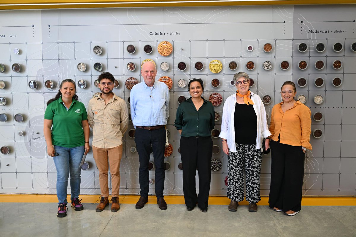 Alianza de Bioversity International y el CIAT tweet media