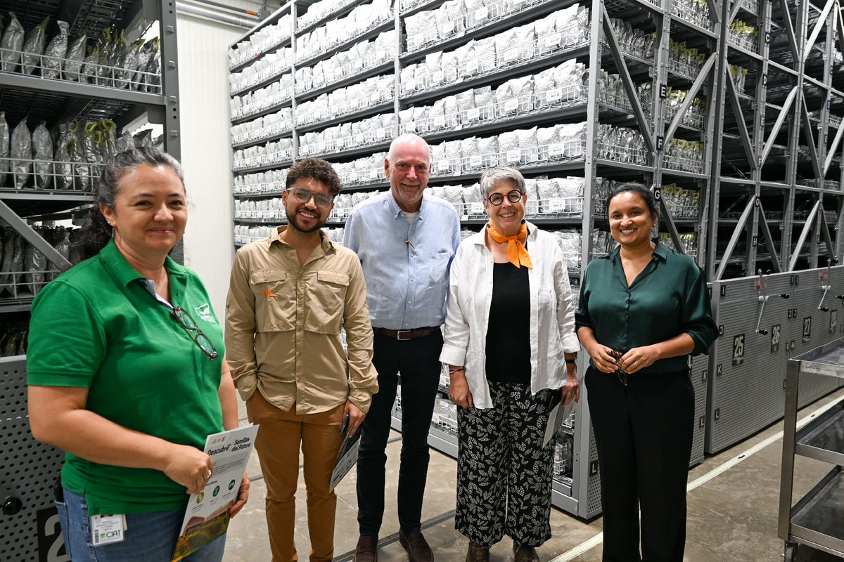 Alianza de Bioversity International y el CIAT tweet media