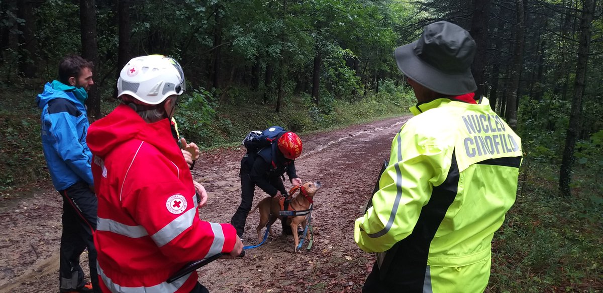 RegioneER's tweet photo. #Sanità. Bocconi avvelenati, l’Emilia-Romagna addestra i cani anti-esca: dalla Regione 30mila euro al progetto dell’Unione della Romagna Faentina per formare unità cinofile specializzate contro gli avvelenamenti degli animali. La #notizia 👉 https://t.co/UuzFSVnEOS https://t.co/rvqiaR5ETh