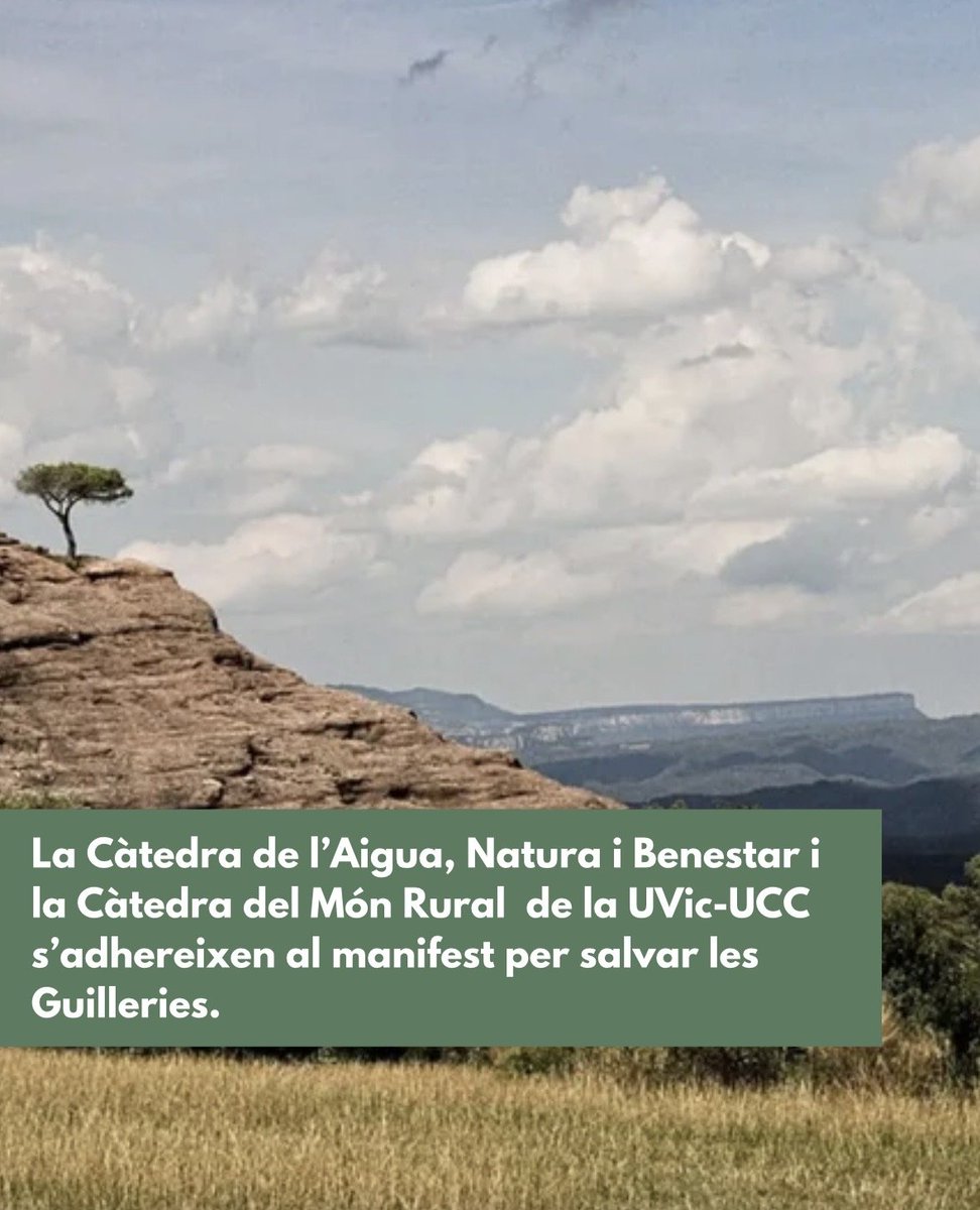 Catedra_Aigua's tweet photo. La Càtedra de l'Aigua, Natura i Benestar, de la @univgirona, la @uvic_ucc i @santhilari, i la Càtedra del Món Rural de la @uvic_ucc, s'adhereixen al manifest de #Salvem les #Guilleries, en oposició a la creació d’una reserva de fauna de grans dimensions: https://t.co/tx3Ft5OOOj https://t.co/6XKqUP4GtI