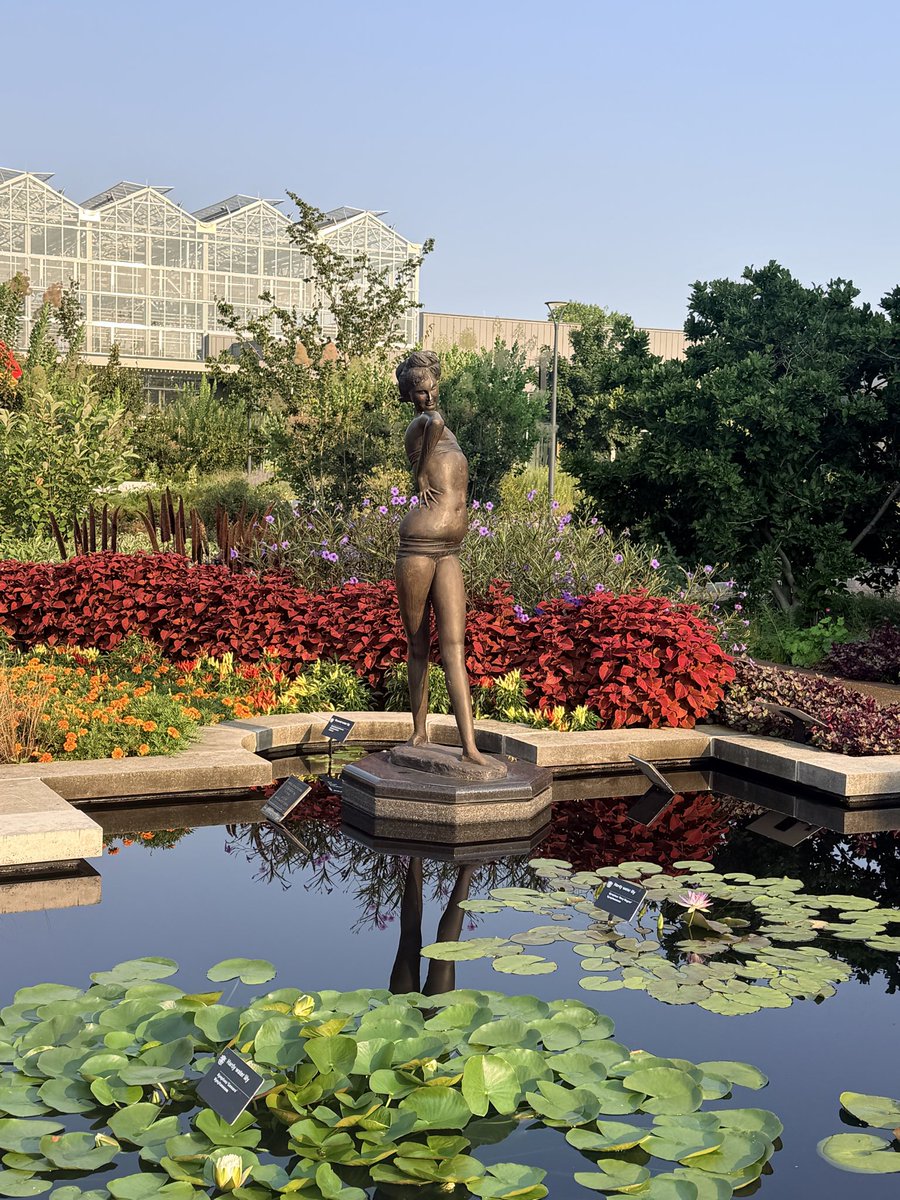 CandiceSpencer's tweet photo. Good morning, Beautiful! @mobotgarden https://t.co/lRP9pNkNfj