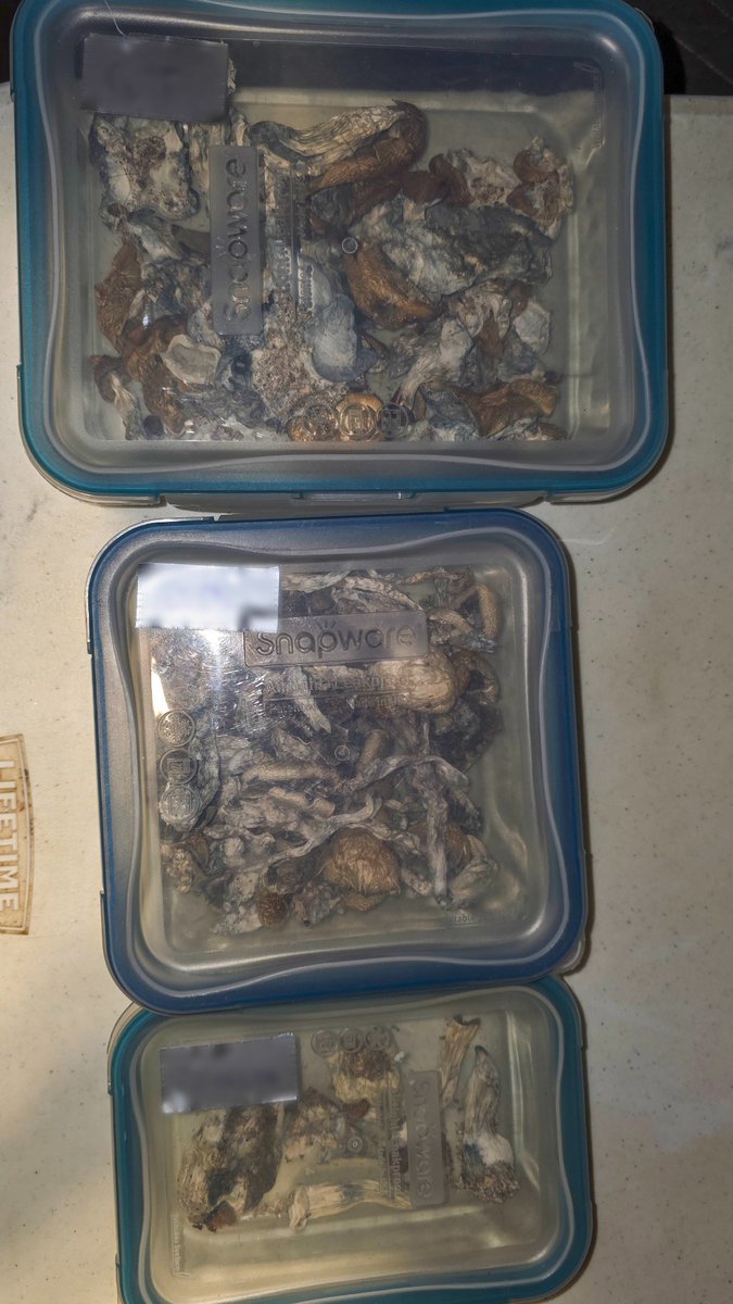 akstatetrooper's tweet photo. Your Alaska State Troopers teamed up with the Anchorage Police Department to help patrol Salmonfest. The combined two-day effort resulted in the arrest of eight people for drug distribution felonies. Drugs seized included methamphetamine, ecstasy, prescription pills, and a substantial amount of psychedelic mushrooms. Troopers also assisted EMS responding to an overdose and responded to two ongoing fights. Read more about the operation here: https://t.co/tn8ynJD5dK