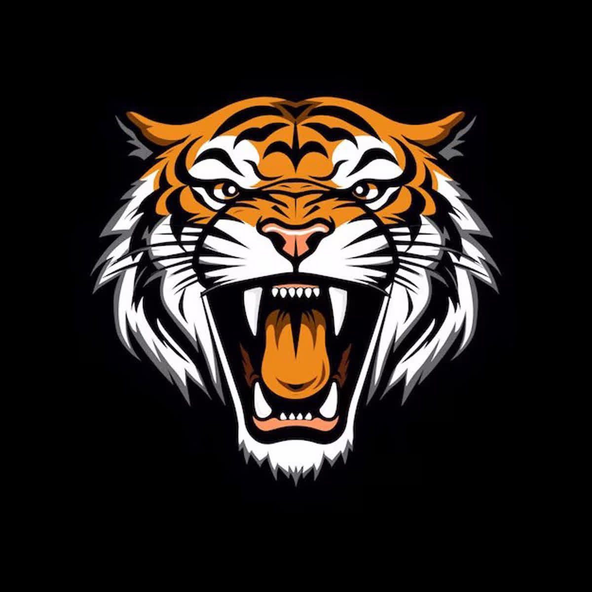 LydeWeemsFSEA's tweet photo. Tiger Pride isn’t something we turn on… we live it every day. Flood twitter with this picture at 12:30

@FriendshipPCS 

#FPCSSE #Journeyto30
#OneFriendship #AspireMor https://t.co/R2SkpDpJGO