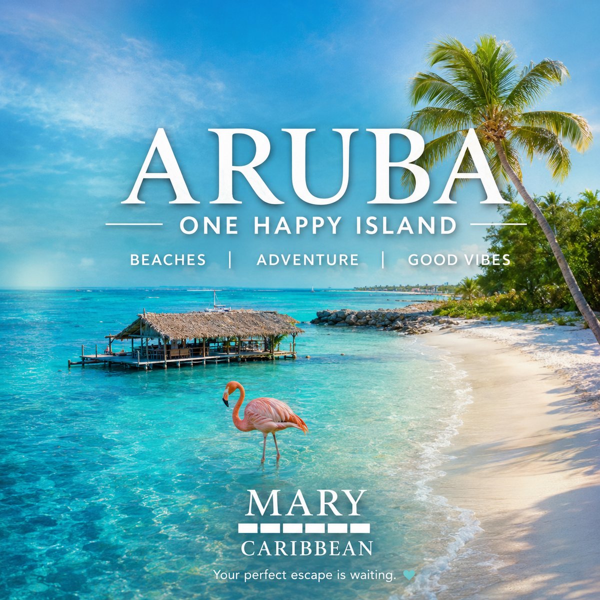 MarryCaribbean's tweet photo. 🏝️Get Married in Paradise

🌊 Aruba brings together turquoise water, warm beaches, and incredible beauty

✨ Start planning your Caribbean wedding https://t.co/0Qo5Fp2ke4

#MarryCaribbean #ArubaWedding #DestinationWedding #CaribbeanWedding #GetMarriedInParadise #BeachWedding https://t.co/VP6Nje8TCR