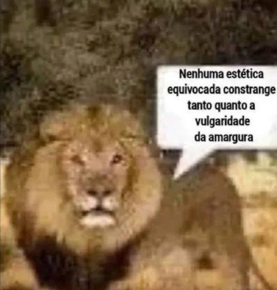 Migrz2's tweet photo. @nezumislover E nem cravo que é equivocada https://t.co/xeVlo06FLA